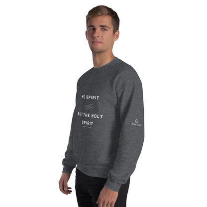 "No Spirit But The Holy Spirt" Sweatshirt